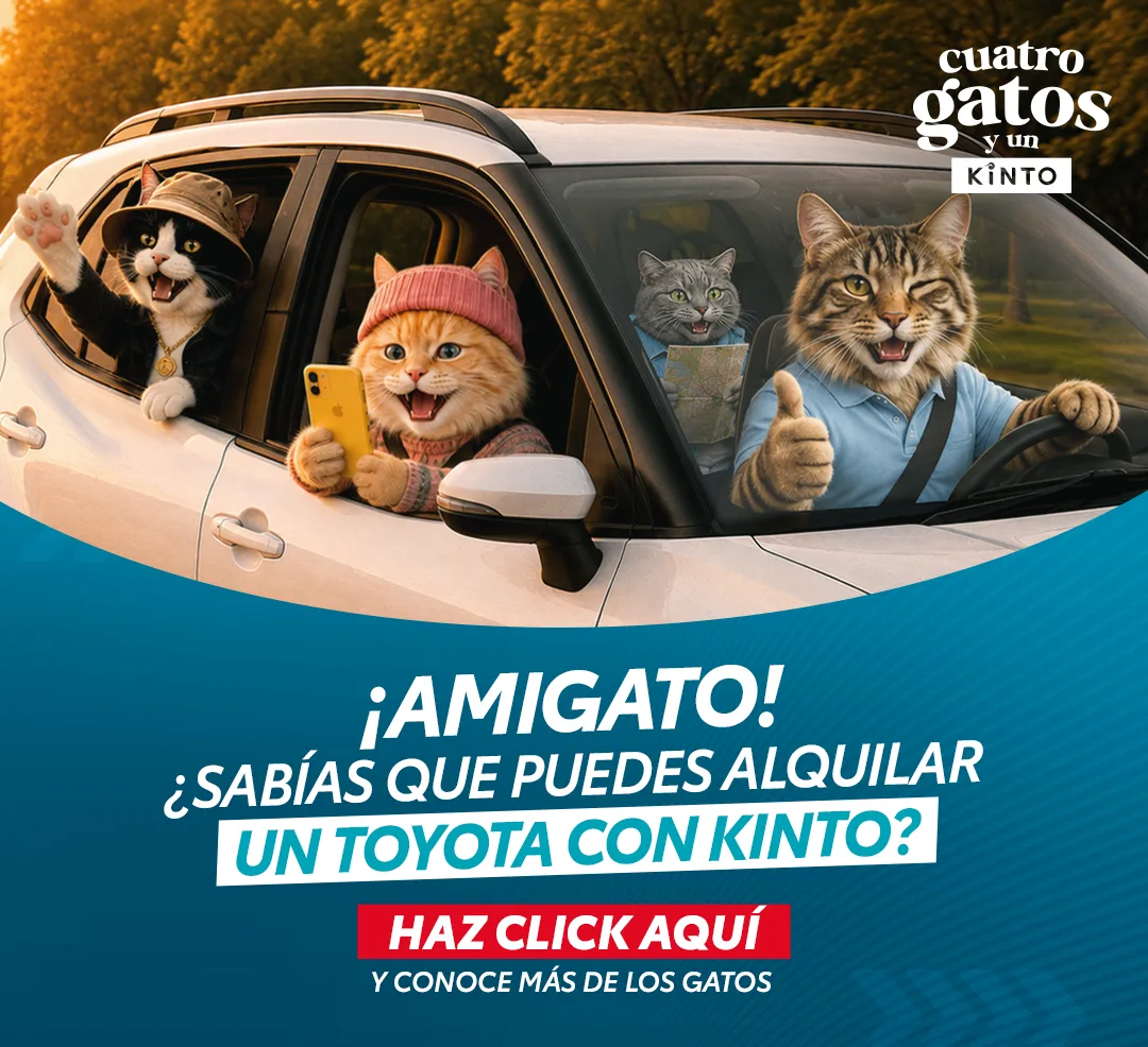 Cuatro Gatos y un Kinto