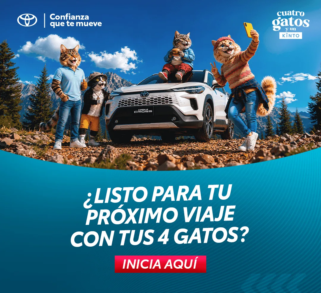 Cuatro Gatos y un Kinto