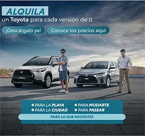 Kinto Share Cotizar